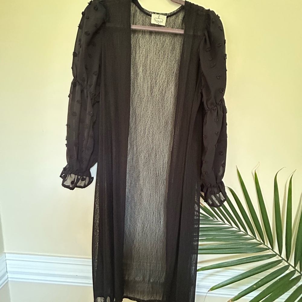 Elegant Black Sheer Blouse